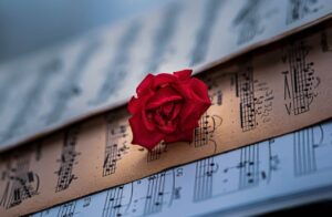 rosa su spartito