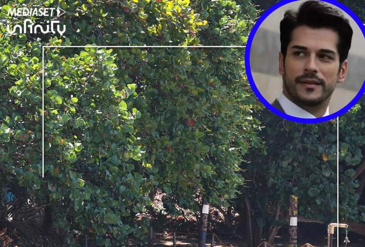 Kemal al reality Mediaset 